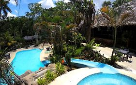 Ceiba Tops